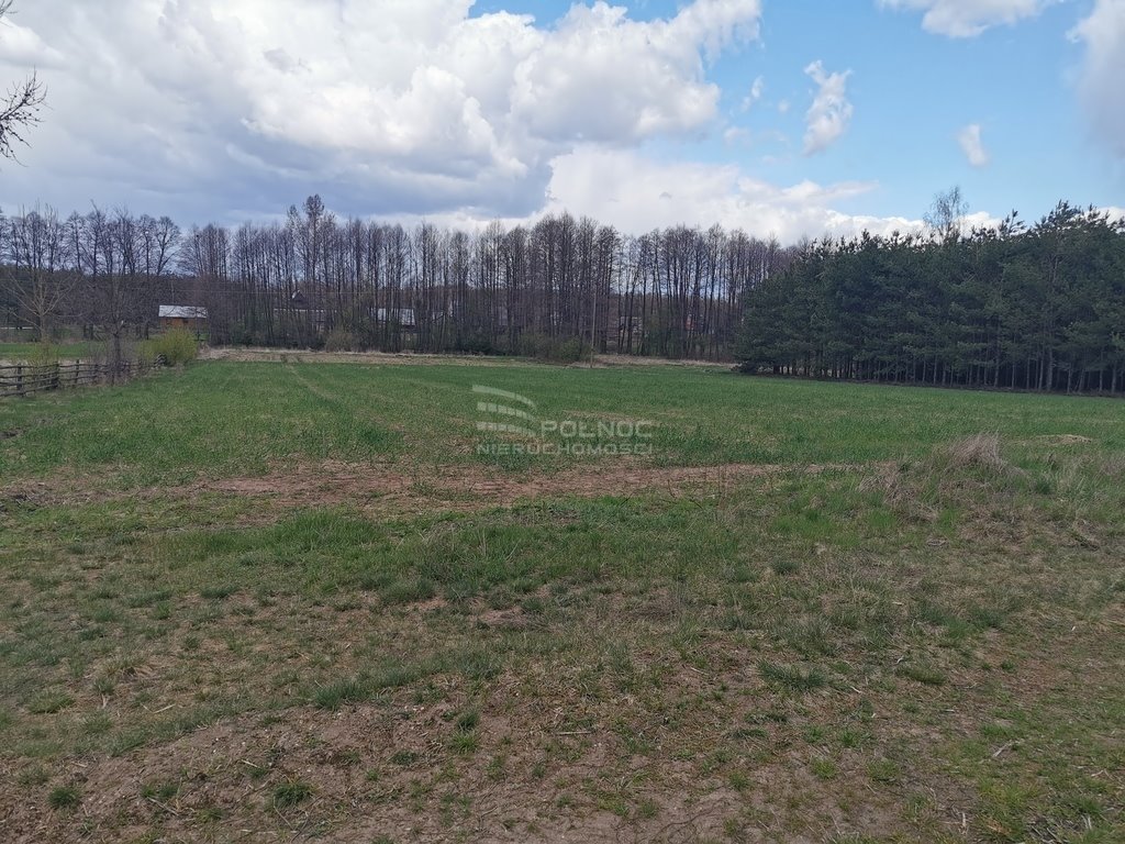 Działka rolna na sprzedaż Grabowiec  6 700m2 Foto 16