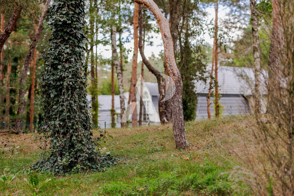 Dom na sprzedaż Łomianki, Dąbrowa Leśna  1 000m2 Foto 15