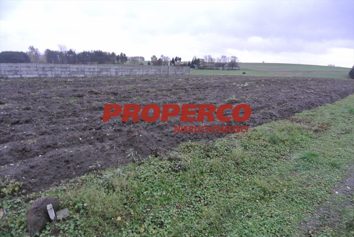 Działka 774 m² w Borkach - media w drodze, cicha okolica Jędrzejów, Borki  774m2 Foto 1