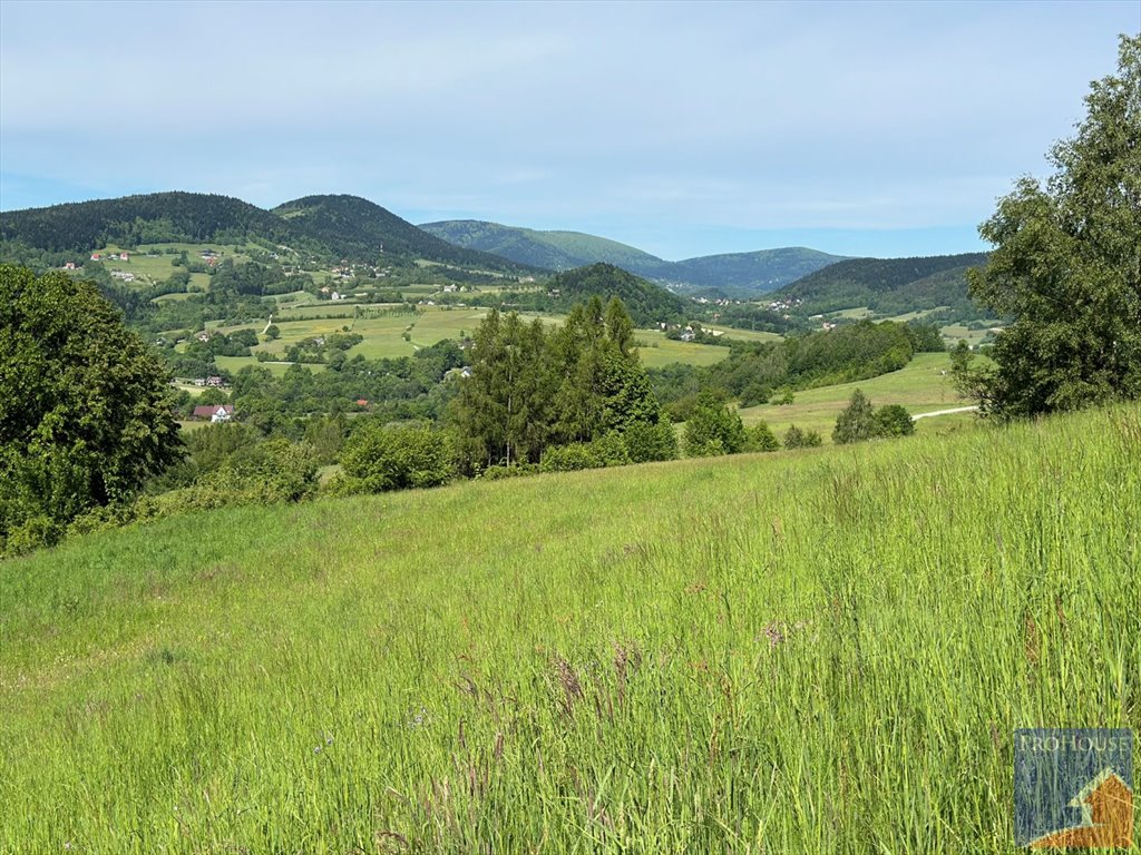 Działka budowlana na sprzedaż Skrzydlna  7 400m2 Foto 10