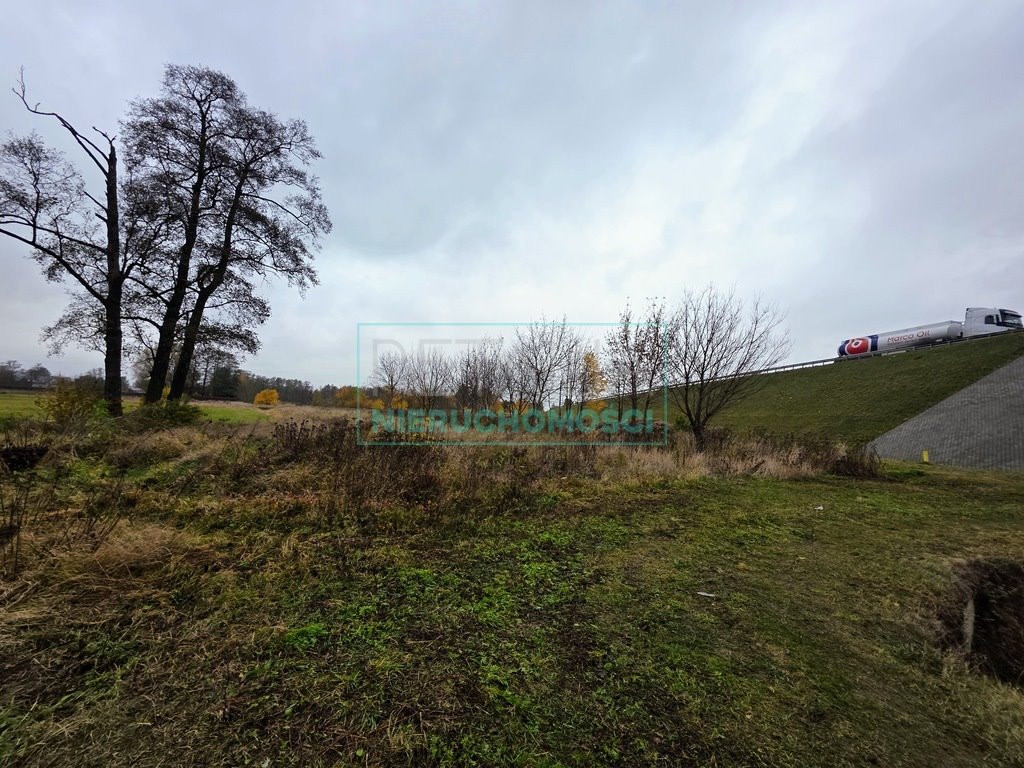 Działka rolna na sprzedaż Grodzisk Mazowiecki  30 000m2 Foto 1