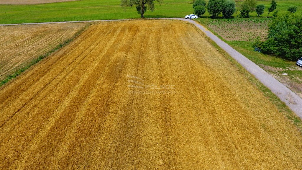 Działka siedliskowa na sprzedaż Czuszów  1 506m2 Foto 15