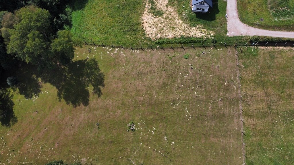 Działka budowlana na sprzedaż Korczyna  786m2 Foto 6