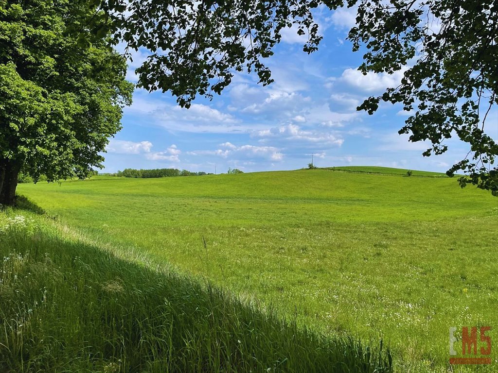 Działka inna na sprzedaż Giżycko  1 040m2 Foto 4