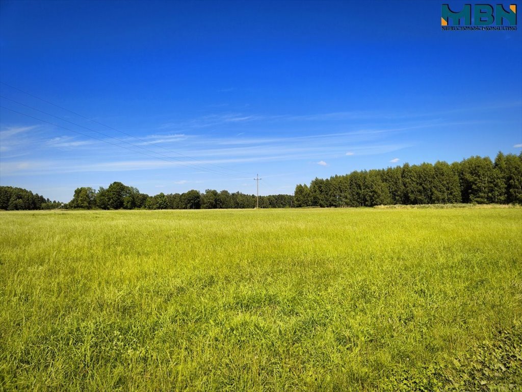 Działka budowlana na sprzedaż Harsz, Harsz  3 337m2 Foto 8