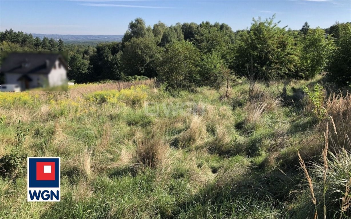 Działka budowlana na sprzedaż Pogorzyce, Pogorzyce  6 069m2 Foto 4