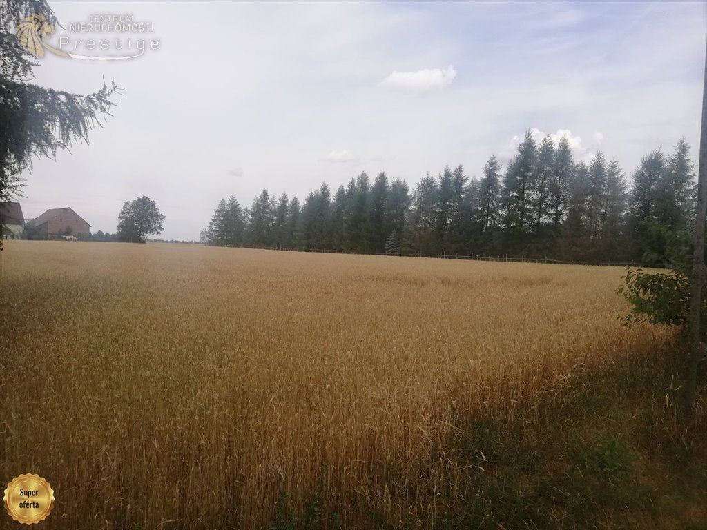 Działka budowlana na sprzedaż Biskupice, Biskupskie Drogi  1 353m2 Foto 11