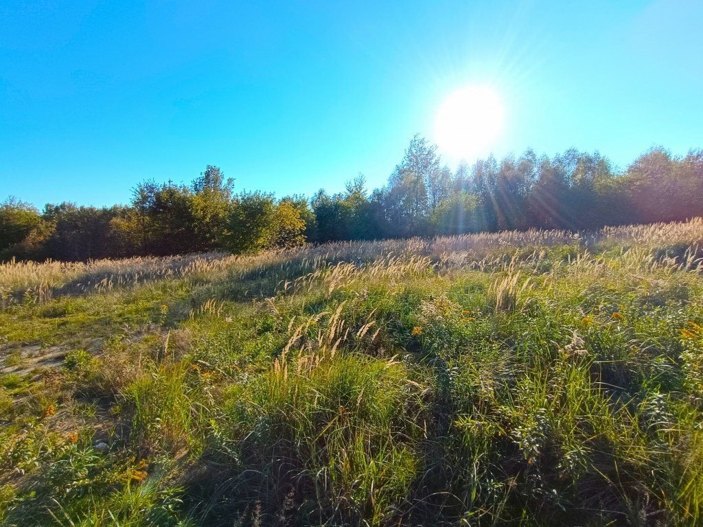 Działka budowlana na sprzedaż Kielce, Dąbrowa  720m2 Foto 4