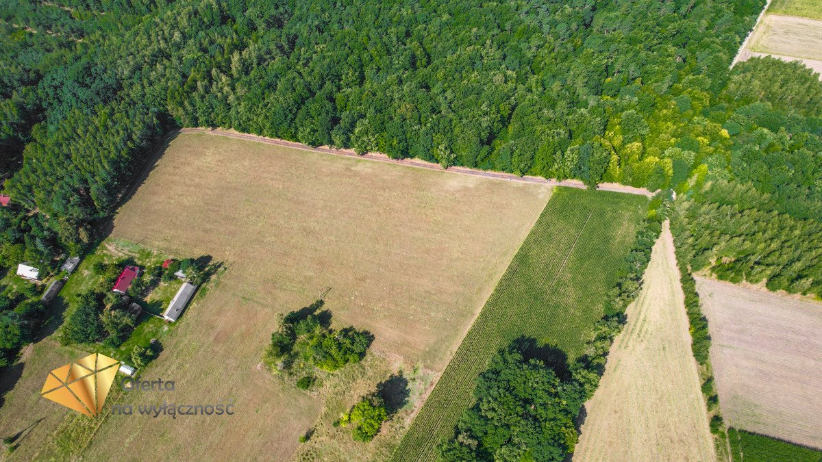 Działka budowlana na sprzedaż Kaznów-Kolonia  1 329m2 Foto 3