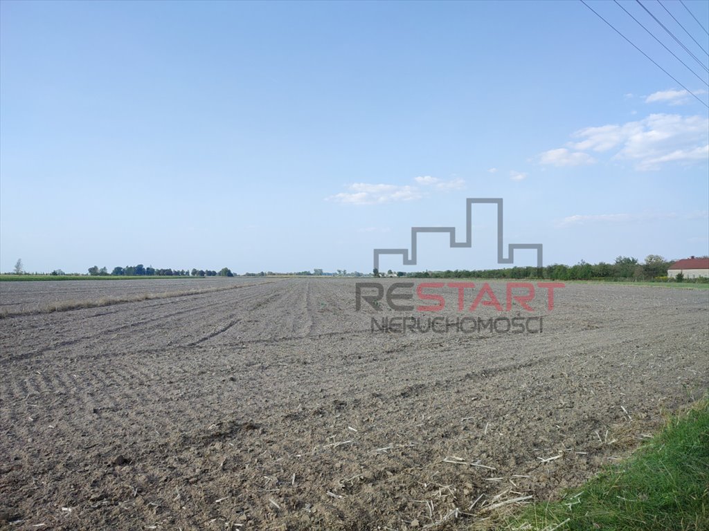 Działka rolna na sprzedaż Żuków  24 500m2 Foto 4