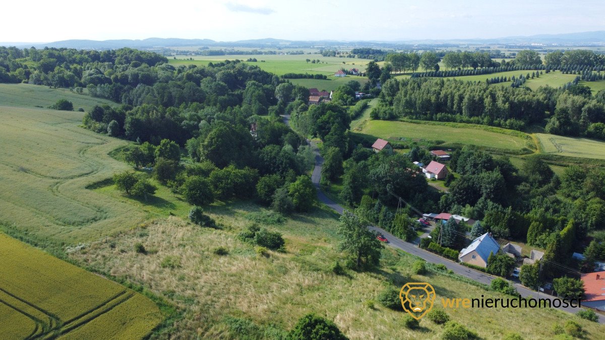 Działka 6243 m² z MPZP, las, góry, media, cicha okolica Jędrzejowice  6 243m2 Foto 1