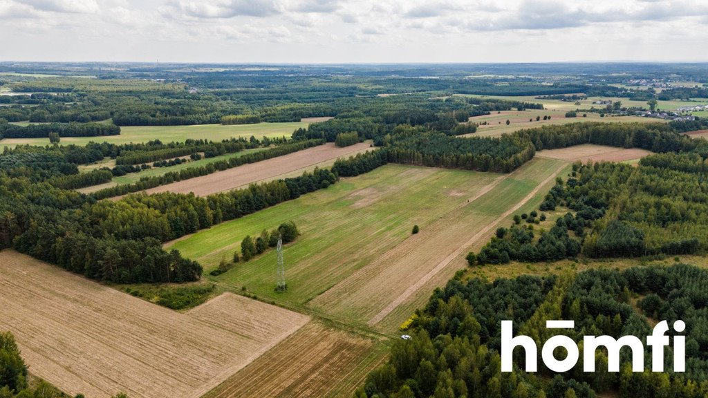 Działka rolna na sprzedaż Zdziechów  45 600m2 Foto 2