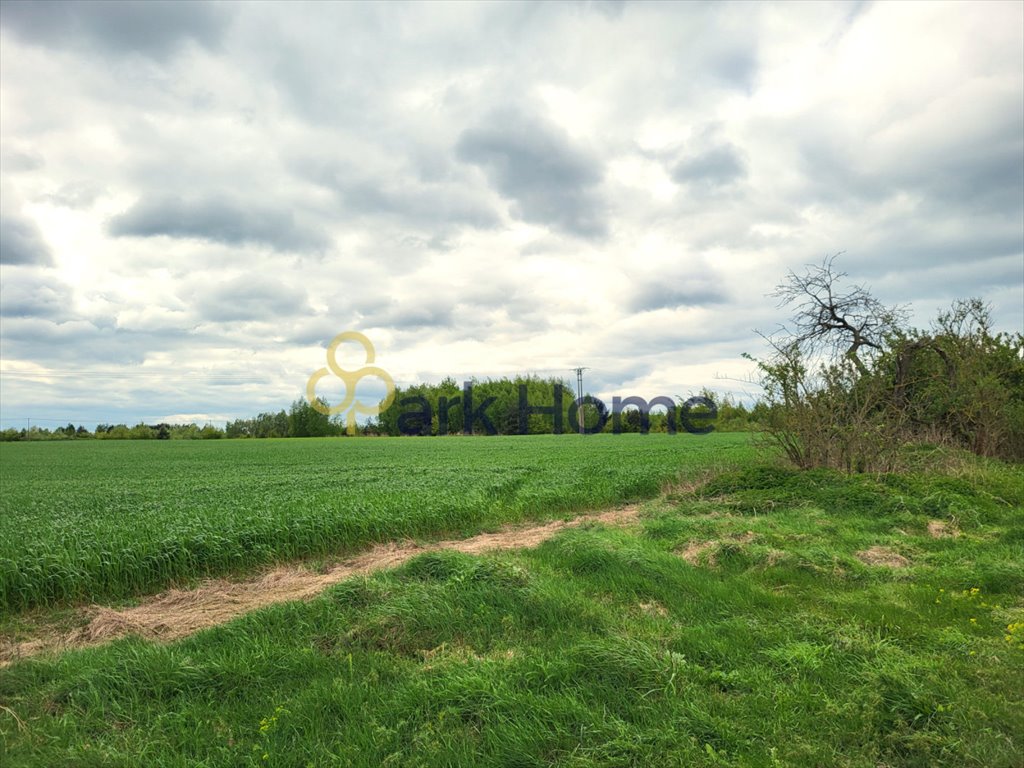 Działka przemysłowo-handlowa na sprzedaż Rybojedzko  3 099m2 Foto 3