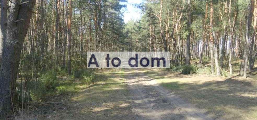 Działka pod usługi zdrowia i weterynarię 24 400 m² Łosie  24 400m2 Foto 1