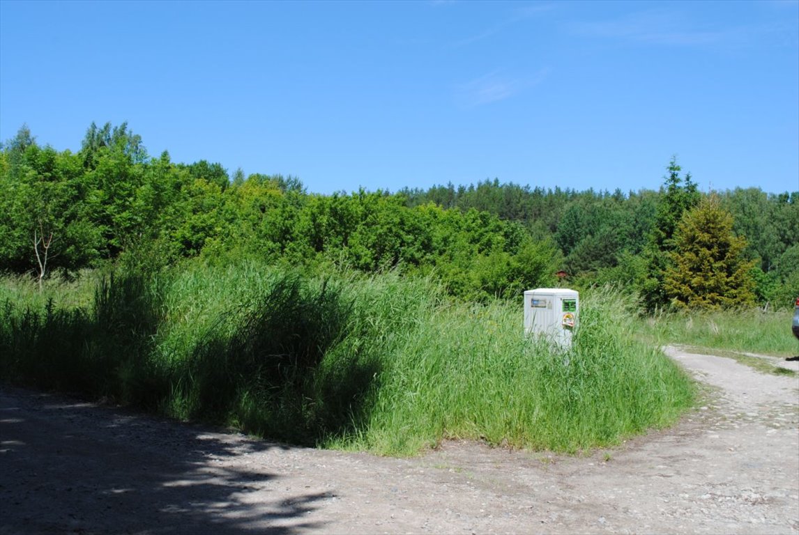 Działka budowlana na sprzedaż Kolbudy, Słonecznikowa  3 348m2 Foto 2