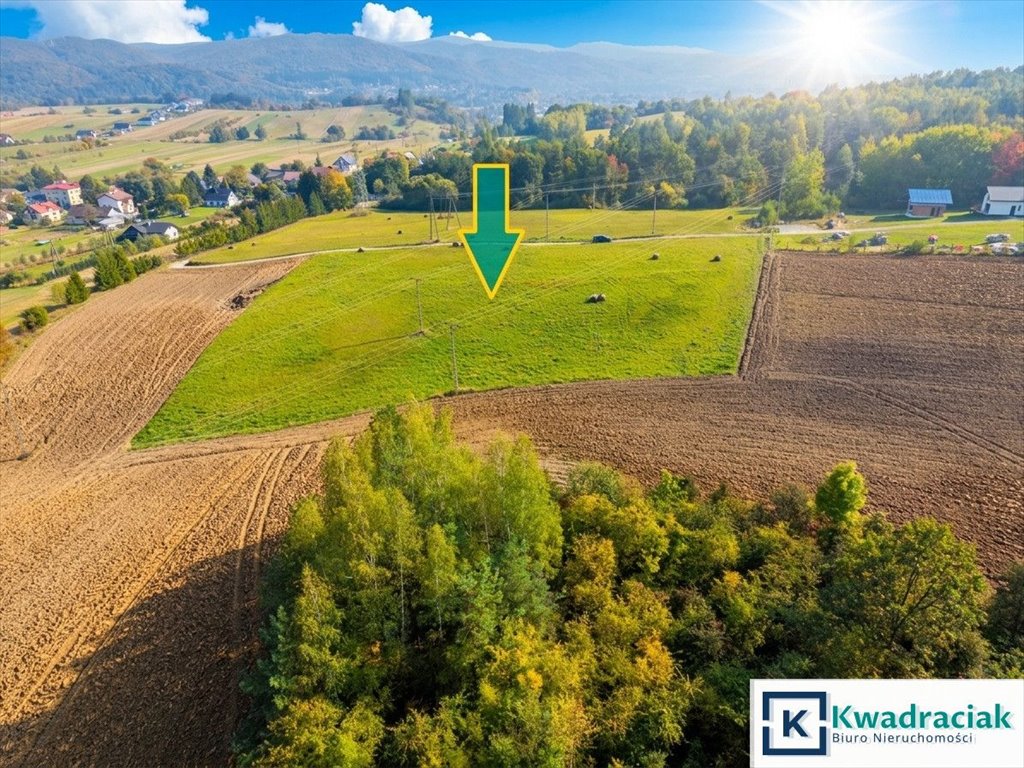 Na sprzedaż atrakcyjne działki w Trepczy z decyzją WZ Trepcza  3 683m2 Foto 1
