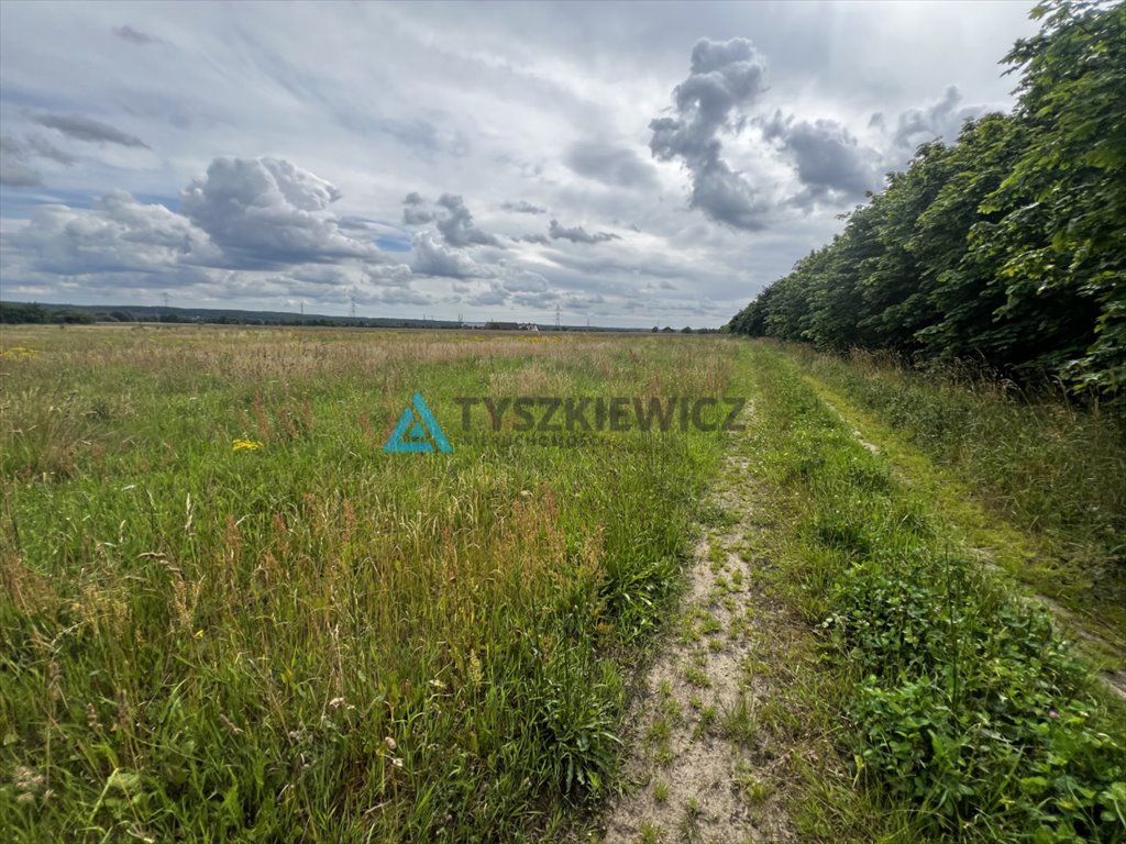 Działka przemysłowo-handlowa na sprzedaż Zamostne  1 001m2 Foto 4