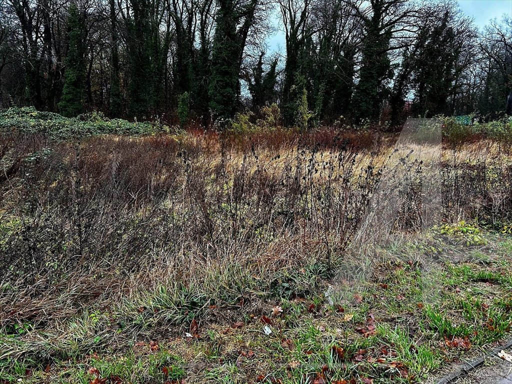 Działka budowlana na sprzedaż Chojna, Chojna  2 000m2 Foto 1