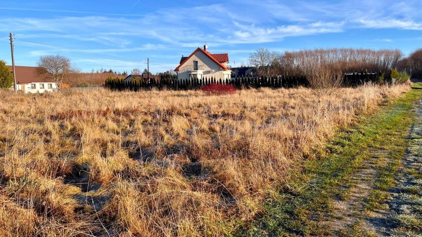 Działka budowlana na sprzedaż Czernin, Czernin  2 692m2 Foto 15