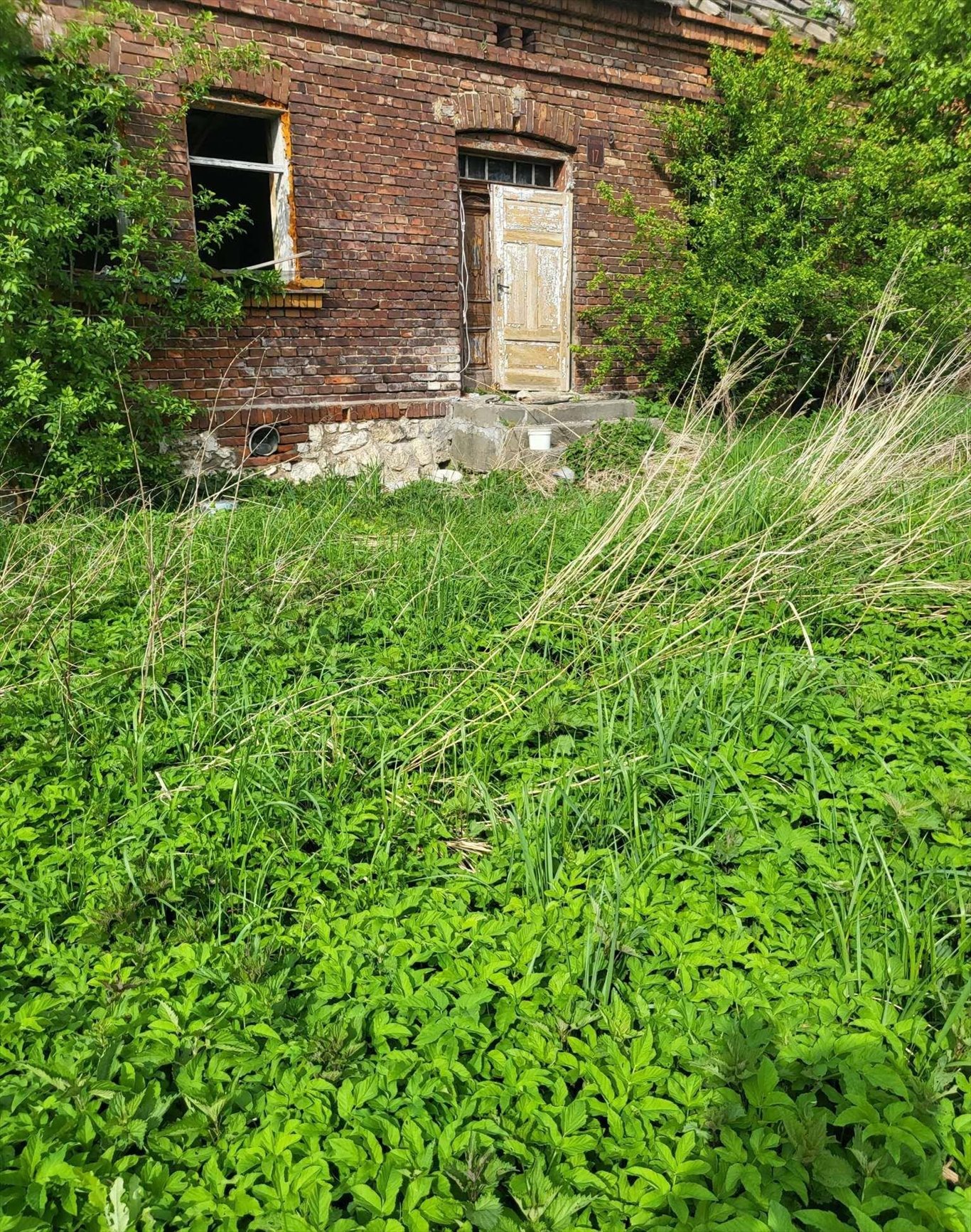 Działka budowlana na sprzedaż Kaszów  5 000m2 Foto 8