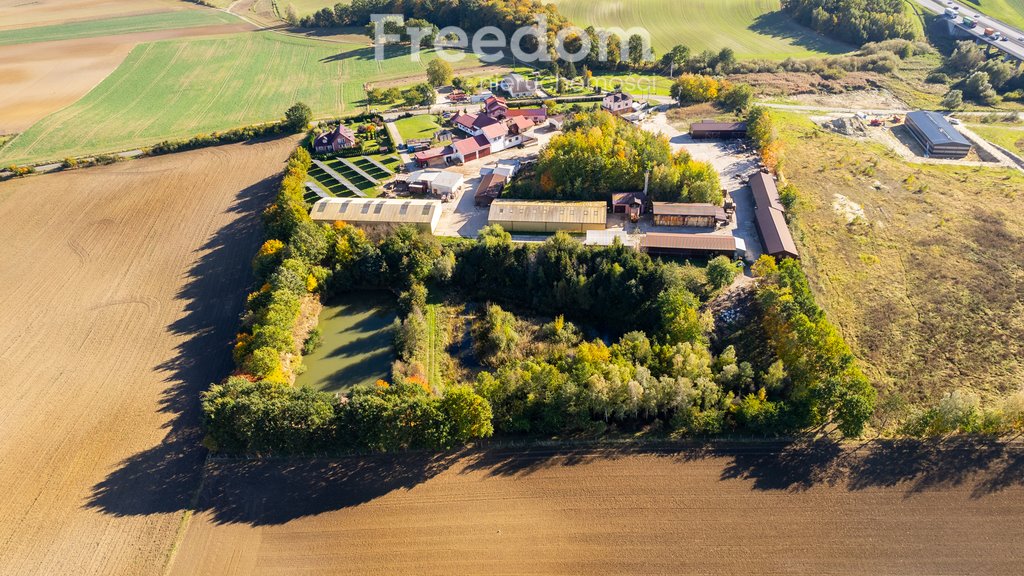 Magazyn na sprzedaż Ulkowy, Kasztanowa  4 835m2 Foto 5