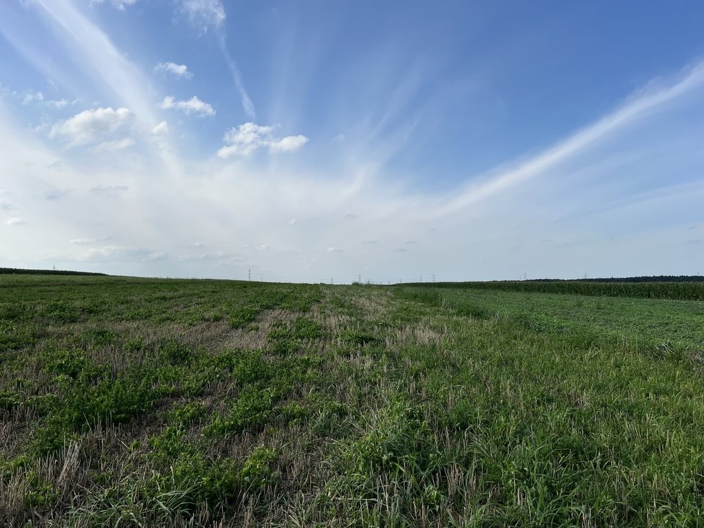 Działka inwestycyjna 3 066 m² w Opolu - polecam Opole, Groszowice  3 066m2 Foto 1