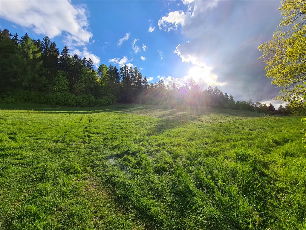 Działka budowlana na sprzedaż Podgórzyn, Nowa  1 100m2 Foto 8