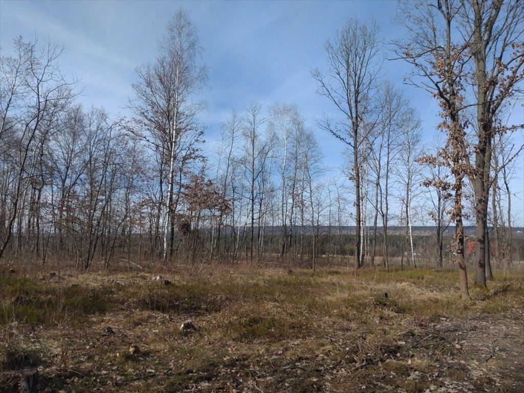 Działka budowlana na sprzedaż Święta Katarzyna  1 000m2 Foto 3