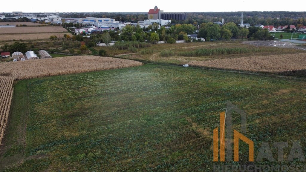 Działka komercyjna na sprzedaż Ścinawa Polska  4 300m2 Foto 5