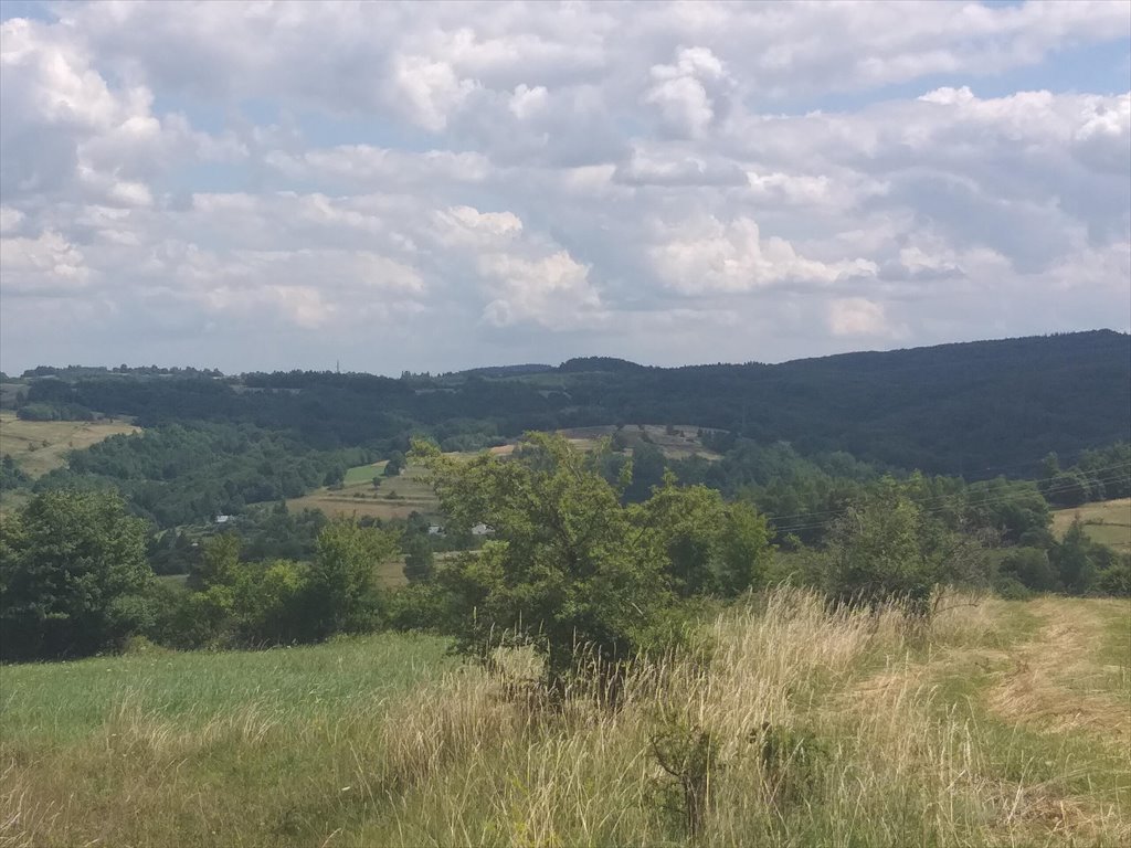 Działka rolna na sprzedaż Makowiska  9 700m2 Foto 4