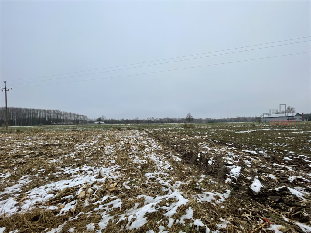 Działka 3000 m² w Studzieńcu pod zabudowę i inwestycję Studzieniec  3 000m2 Foto 1