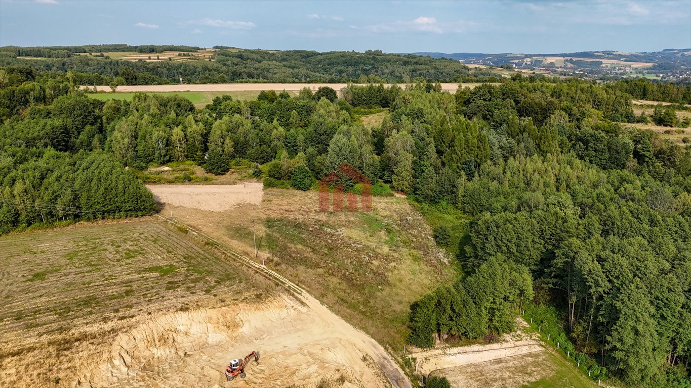 Działka budowlana na sprzedaż Niedźwiada  2 480m2 Foto 6