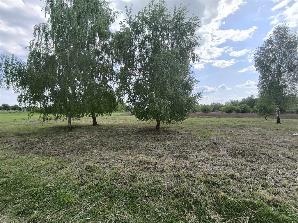 Działka budowlana na sprzedaż Stare Babice  3 400m2 Foto 7