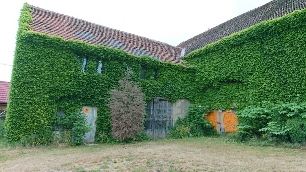 Działka gospodarstwo rolne na sprzedaż Milikowice, Milikowice  3 001m2 Foto 4