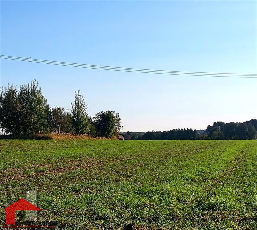 Działka inna na sprzedaż Zdzieszowice  1 000m2 Foto 1