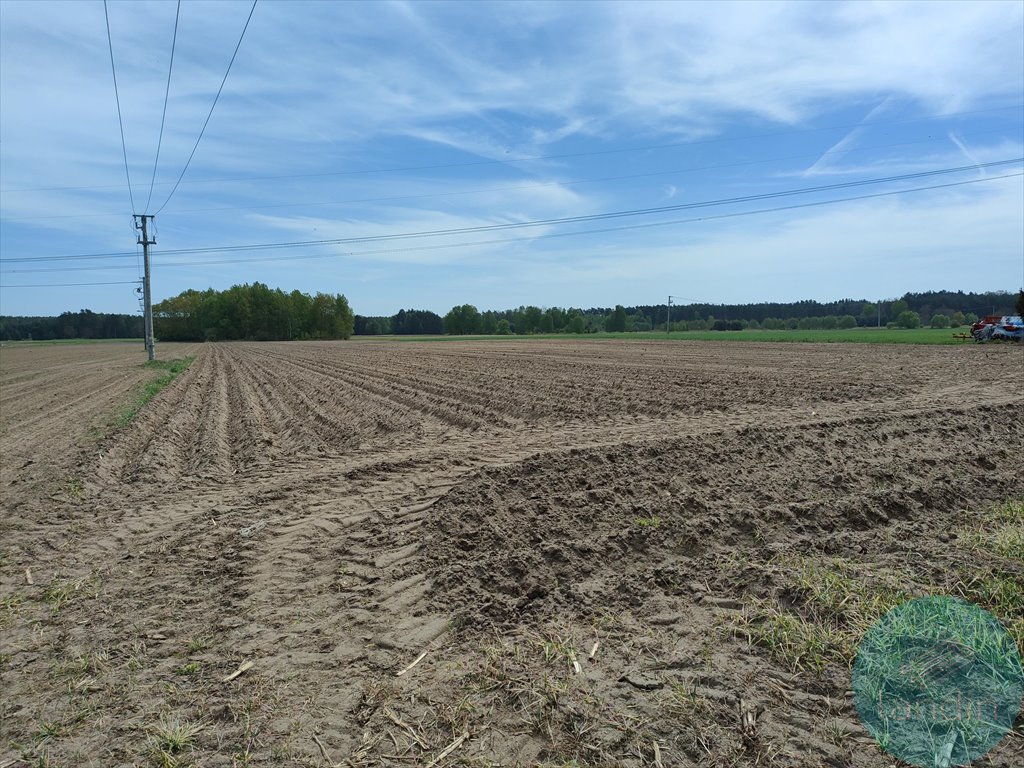 Działka budowlana na sprzedaż Bartków  1 000m2 Foto 1