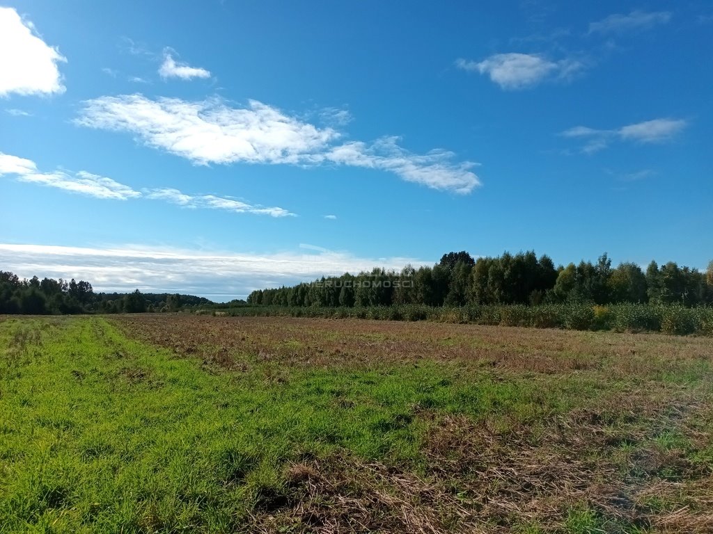 Działka budowlana na sprzedaż Sycewice, Polna  1 000m2 Foto 10