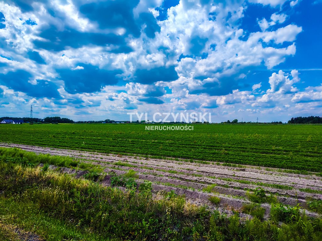 Działka rolna na sprzedaż Chlebnia  37 700m2 Foto 4