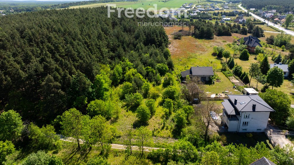 Działka budowlana na sprzedaż Krasocin  10 400m2 Foto 9