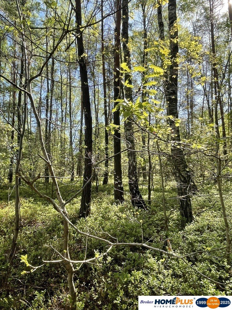 Działka budowlana na sprzedaż Ciemne  1 397m2 Foto 1