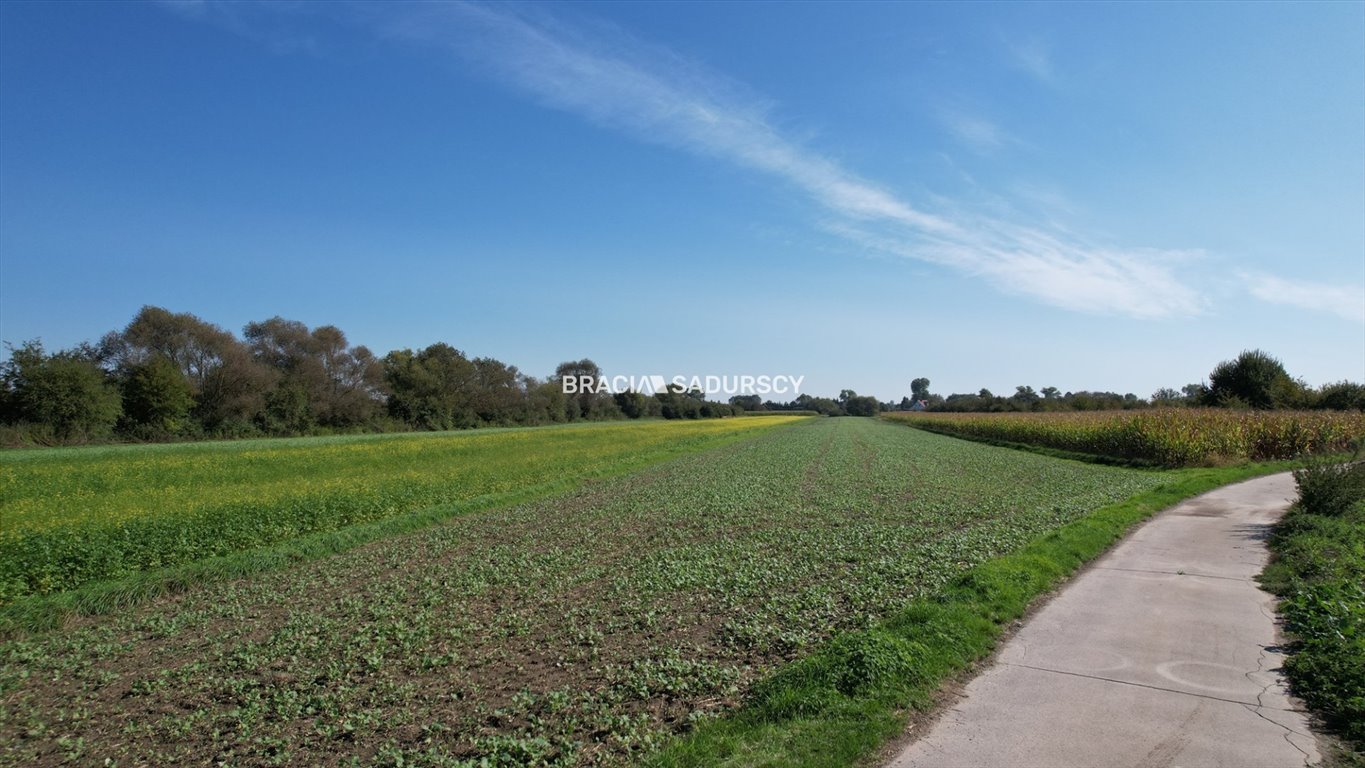 Działka inwestycyjna na sprzedaż Kraków, Nowa Huta, Podstawie  9 299m2 Foto 6