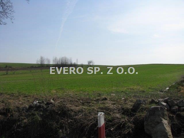 Działka pod dom opieki 1,25 ha z WZ, media w drodze Wawrzyszów, Gm. Wiązów - Wydane WZ pod dom opieki  12 500m2 Foto 1