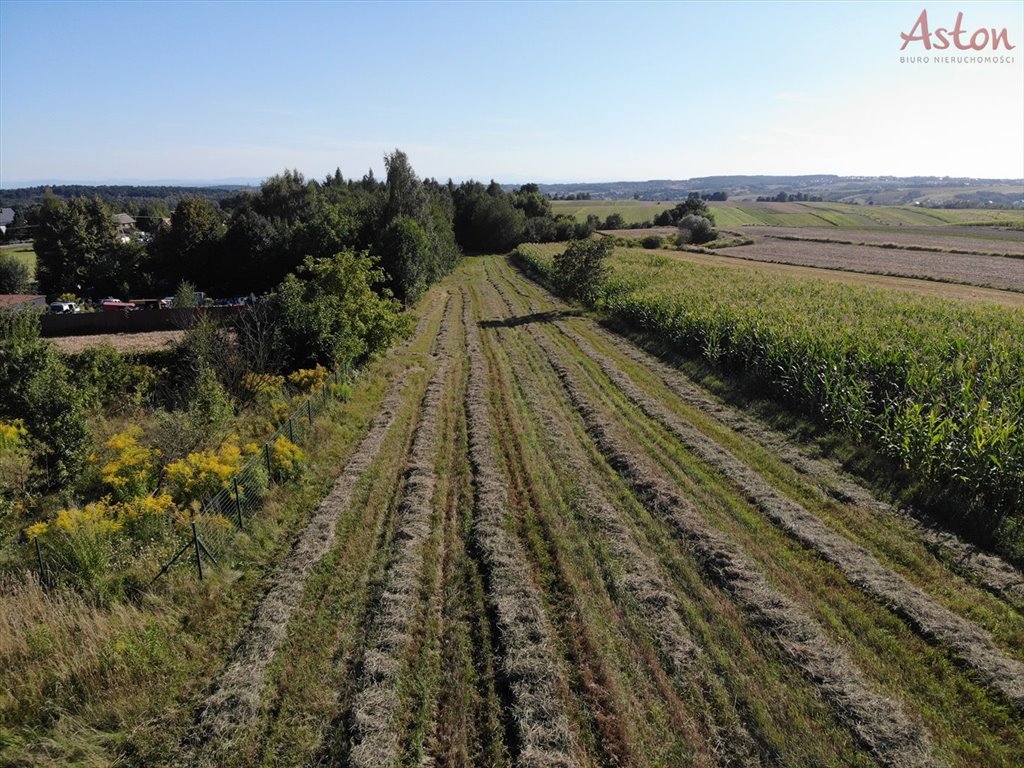 Działka budowlana na sprzedaż Maszków  9 800m2 Foto 2