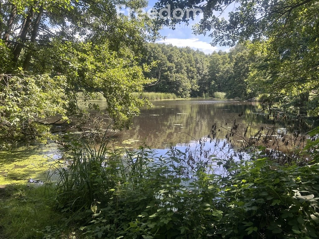 Działka inna na sprzedaż Staw  5 000m2 Foto 9