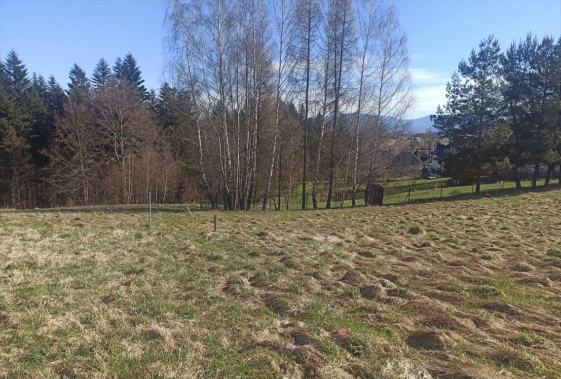 Działka budowlana na sprzedaż Laliki  3 347m2 Foto 6