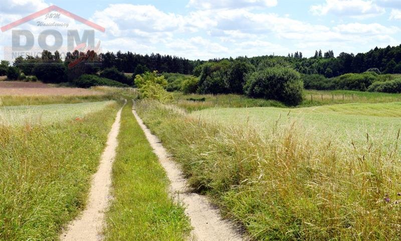 Działka inna na sprzedaż Gudowo  15 600m2 Foto 6