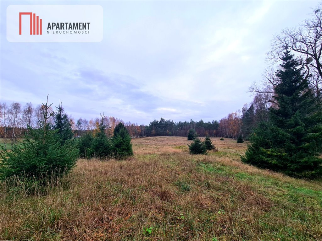 Działka budowlana na sprzedaż Stara Kiszewa  13 500m2 Foto 2