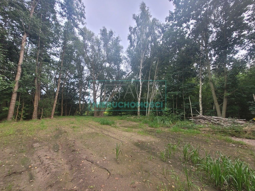 Działka budowlana na sprzedaż Opypy  1 606m2 Foto 6