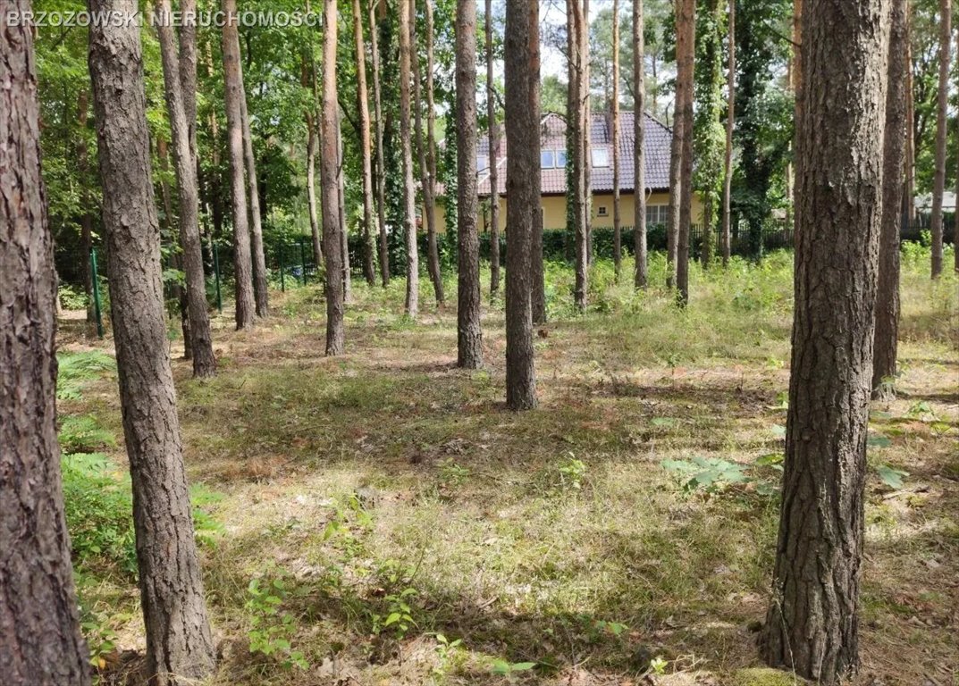 Działka budowlana na sprzedaż Hornówek  2 000m2 Foto 2