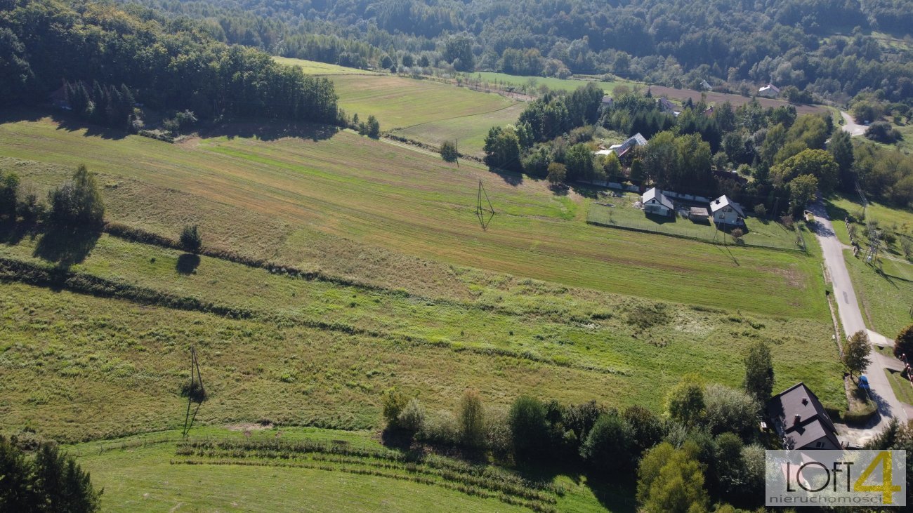 Działka inna na sprzedaż Dąbrówka Szczepanowska  5 600m2 Foto 12